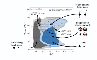 Joint distribution of the chirp mass [latex]M_mathrm{chirp}[/latex] and the effective inspiral spin parameter [latex]chi_mathrm{eff}[/latex] from isolated binary evolution. The model predictions for the underlying (intrinsic) binary black hole population is shown in gray where lighter colors represent larger contour levels of 90% and 99.9%, respectively.  The sub-population of merging binary black holes which emitted long-duration gamma ray bursts is shown in blue. Overlaid in black are the ten LIGO and Virgo GWTC-2 data with chances [latex]p_mathrm{LGRB}^mathrm{GWTC-2} > 10 %[/latex] to have emitted a luminous long-duration gamma ray burst at binary black hole formation are indicated in black with their 90% credible intervals.